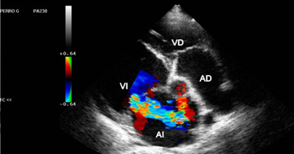 Ecocardiograma cardiólogo en Guayaquil Clinica Kennedy